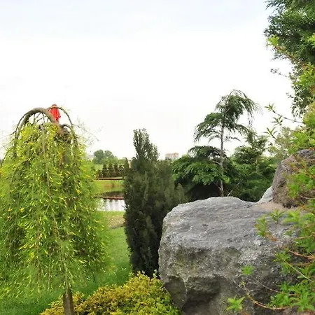 Marco Szkolna 115 2* Płońsk