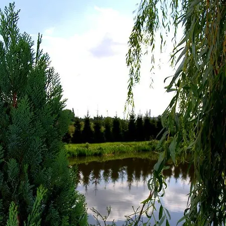 Marco Szkolna 115 2* Płońsk