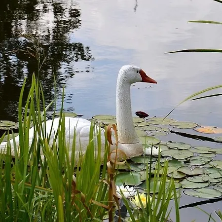 Marco Szkolna 115 Hotel Płońsk
