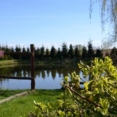 Marco Szkolna 115 Otel 2*