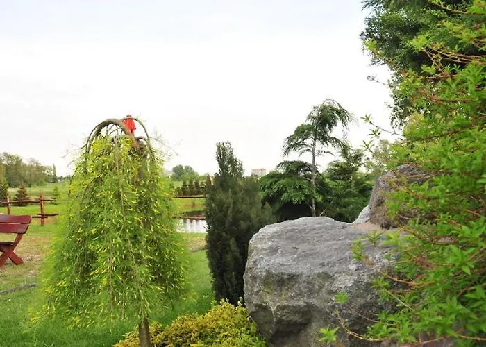 Marco Szkolna 115 2* Płońsk