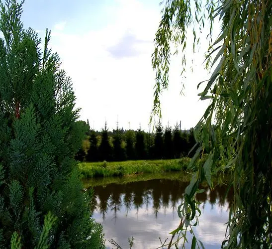 Marco Szkolna 115 2* Płońsk