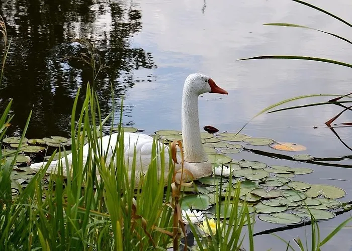 Marco Szkolna 115 Hotel Płońsk